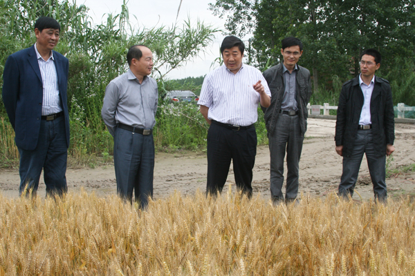 米博体育平台app