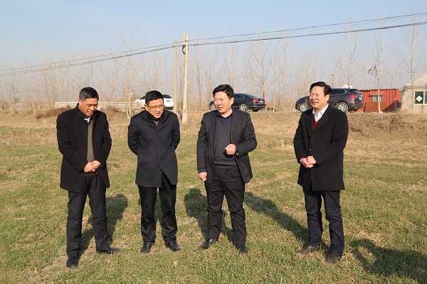 米博体育平台app