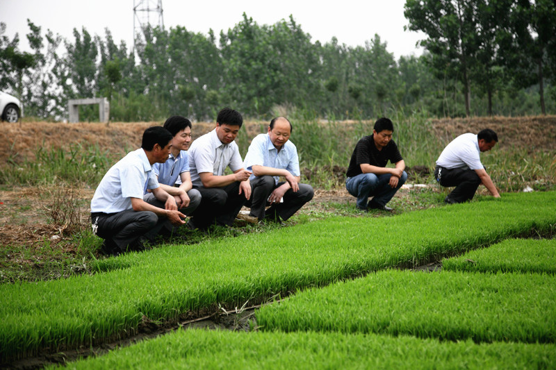 米博体育平台app