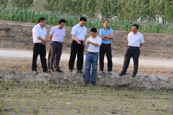 米博体育平台app