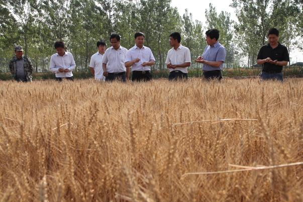 米博体育平台app