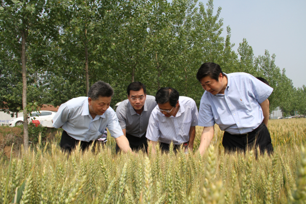 米博体育平台app