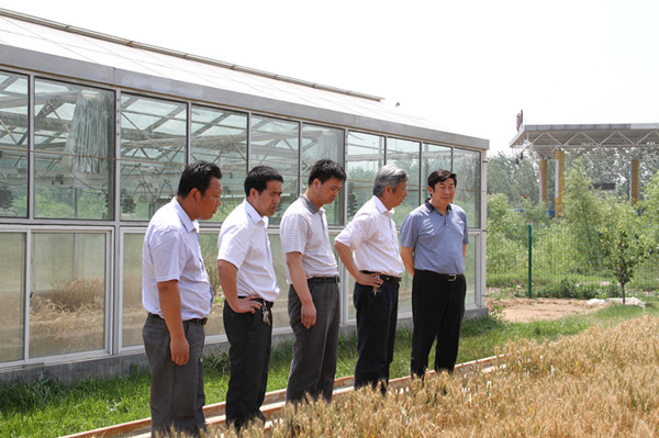 米博体育平台app