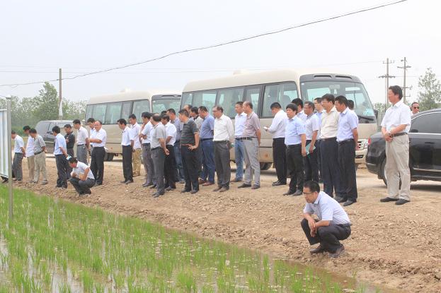 米博体育平台app