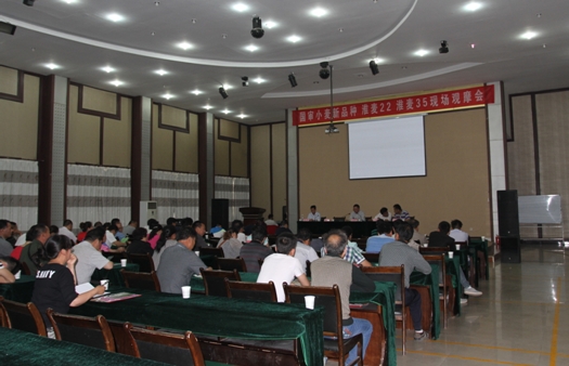 米博体育平台app