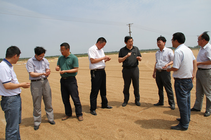 米博体育平台app