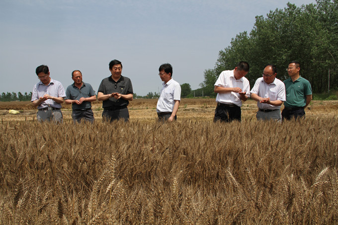 米博体育平台app