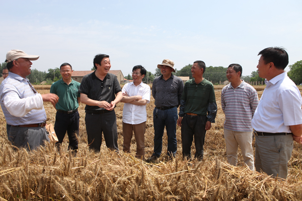 米博体育平台app