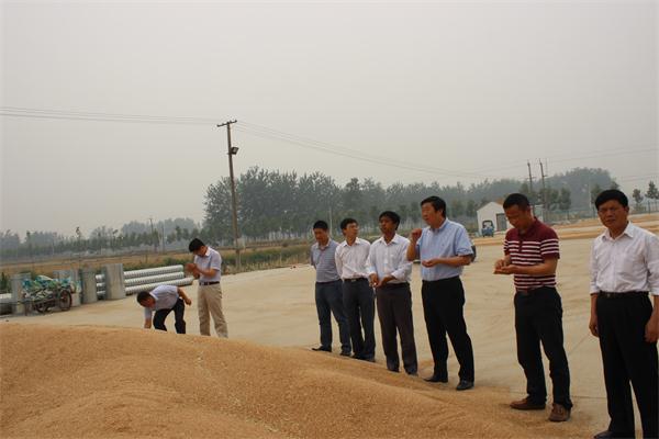 米博体育平台app