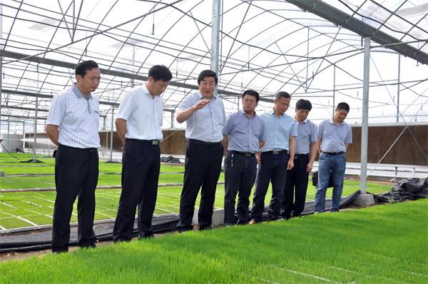 米博体育平台app