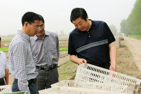 米博体育平台app