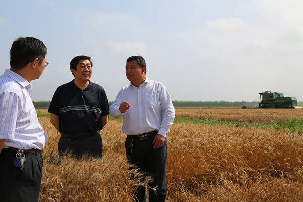 米博体育平台app