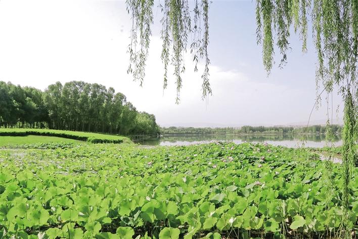 米博体育平台app