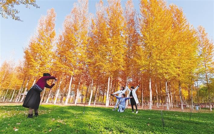 米博体育平台app