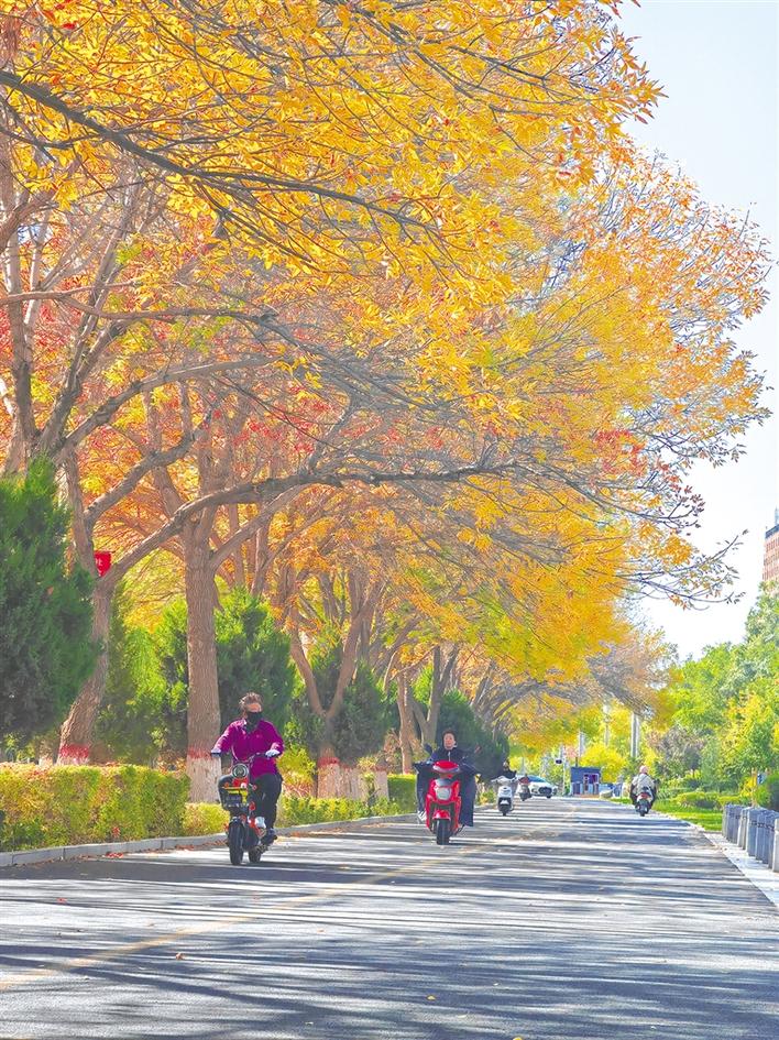 米博体育平台app