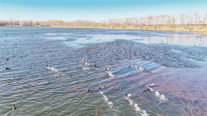 米博体育平台app