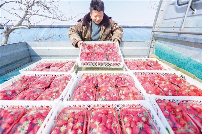 0225.jpg 米博体育平台app