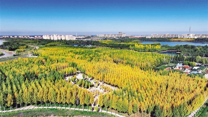 米博体育平台app