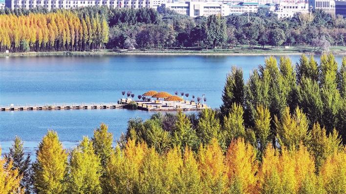 米博体育平台app