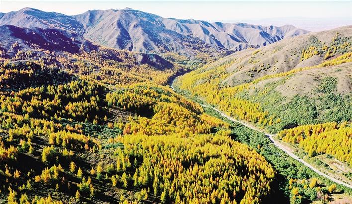 米博体育平台app