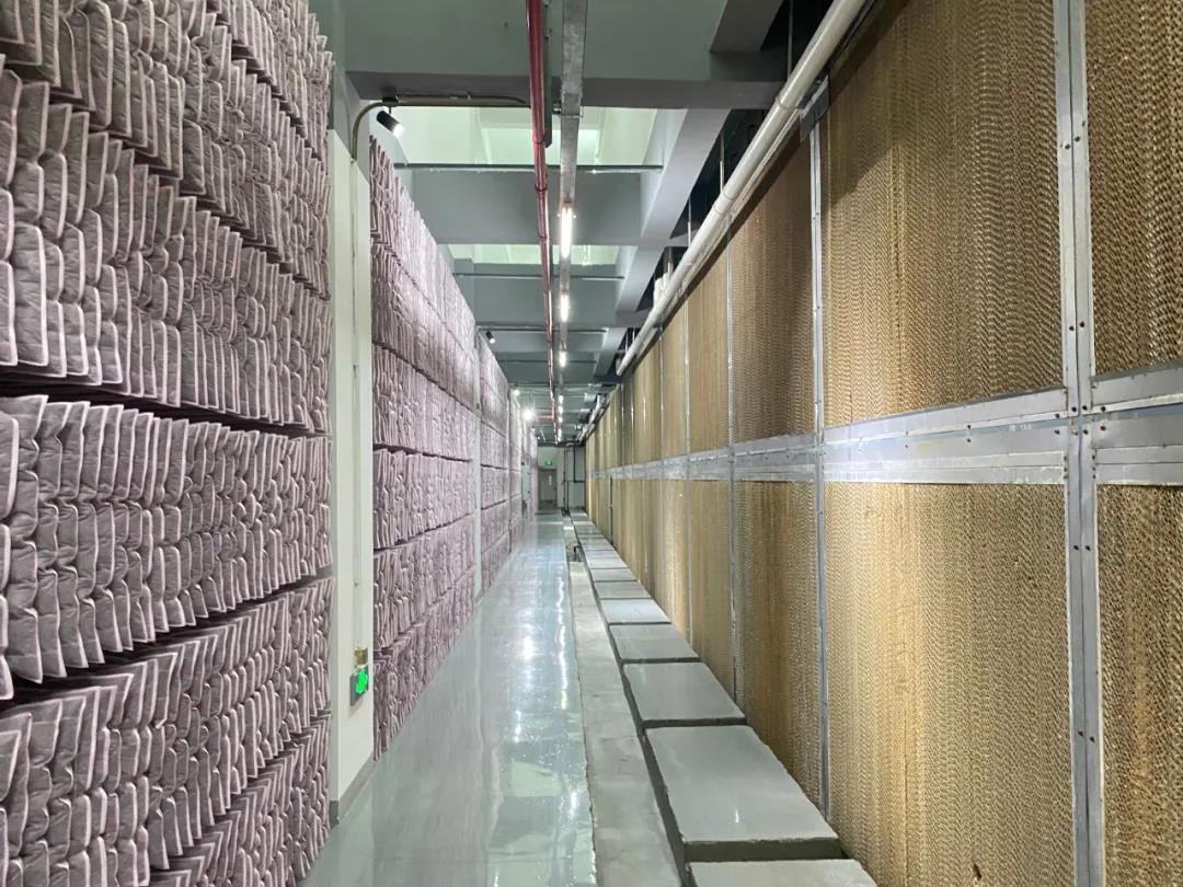 米博体育平台app