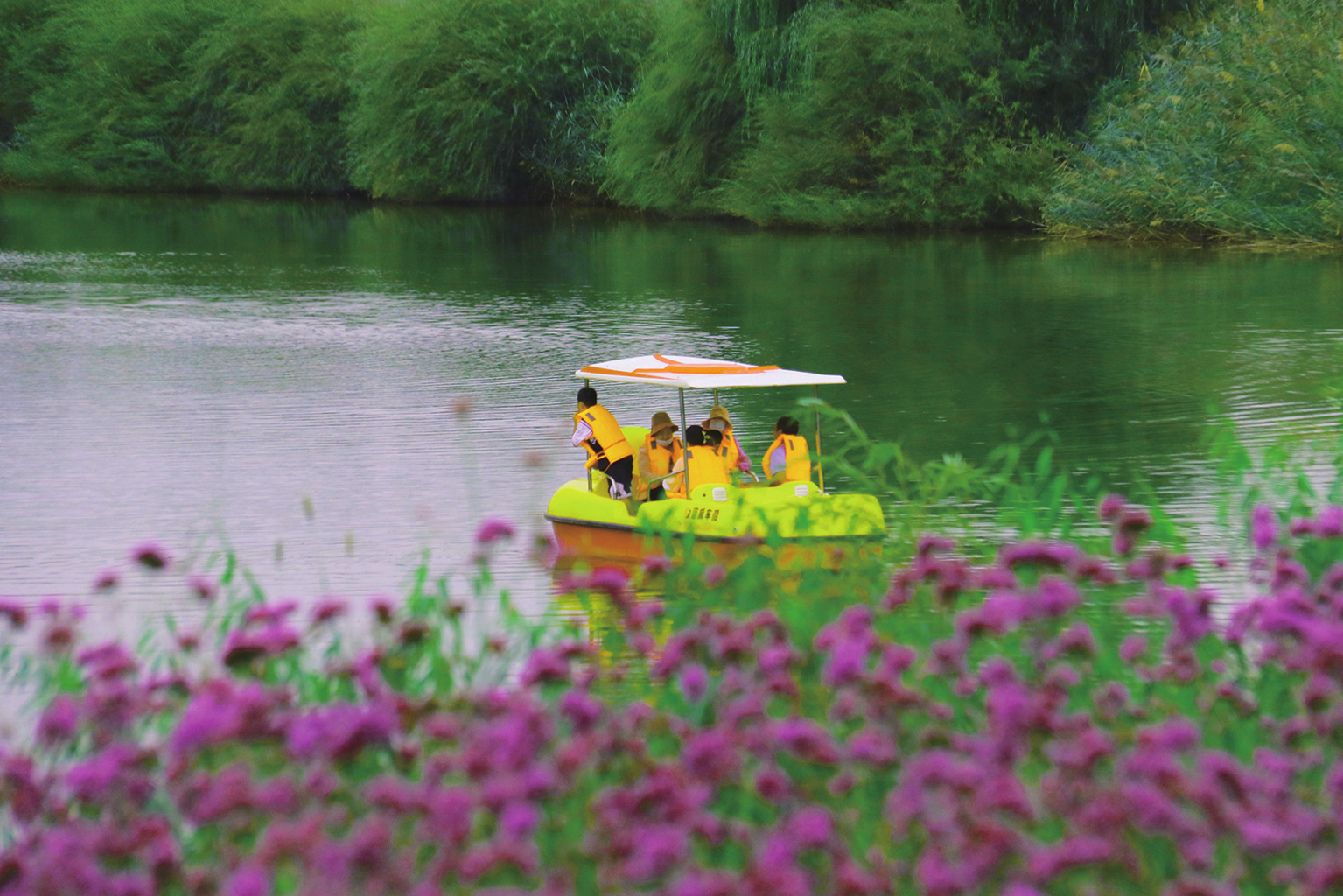 米博体育平台app