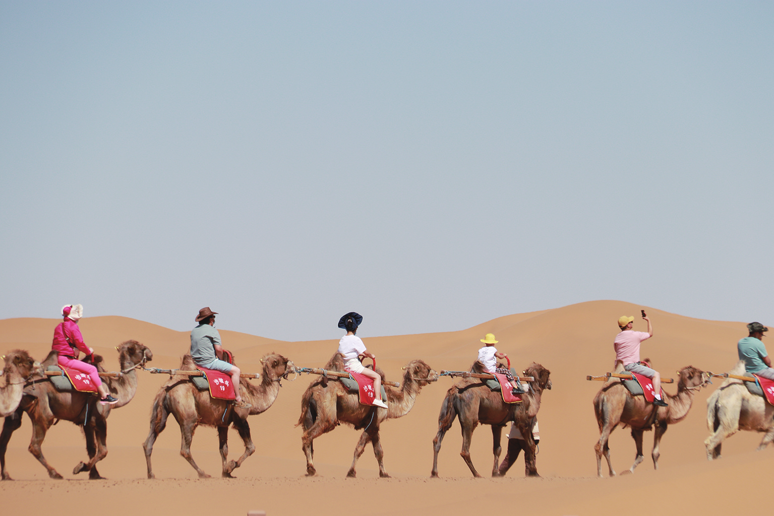 米博体育平台app