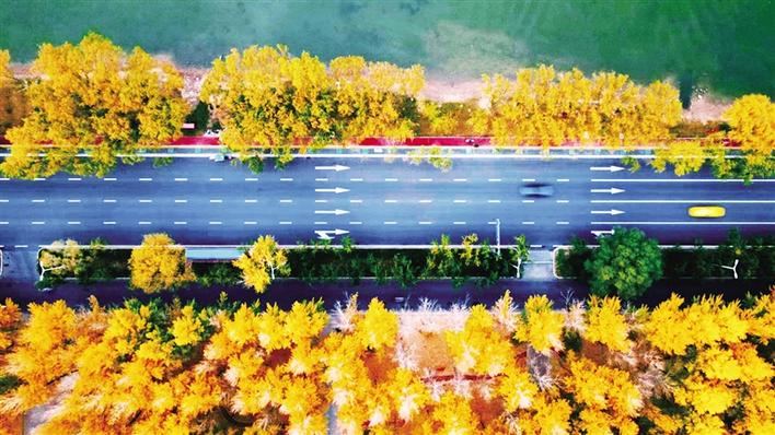 米博体育平台app