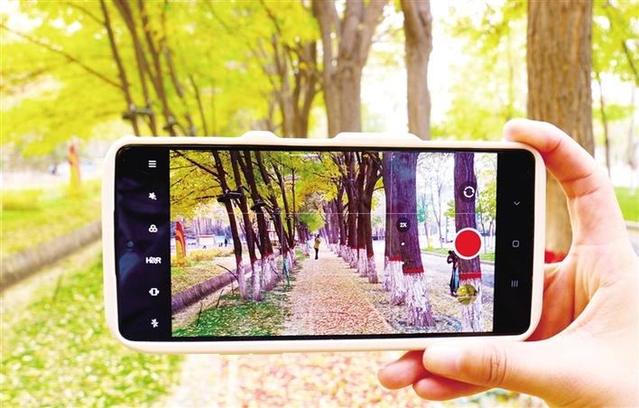 米博体育平台app