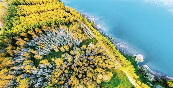 米博体育平台app