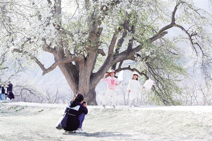 米博体育平台app