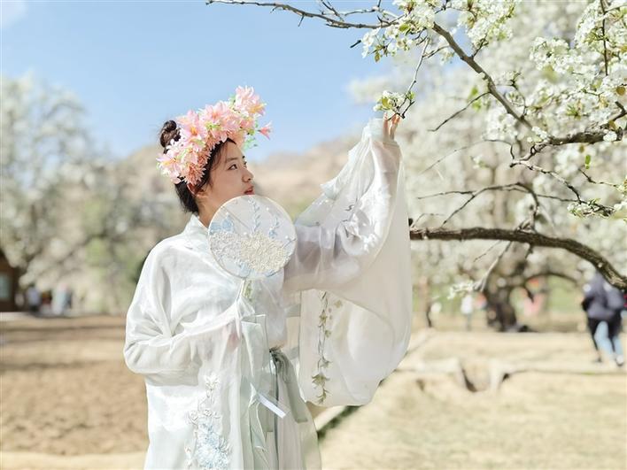 米博体育平台app