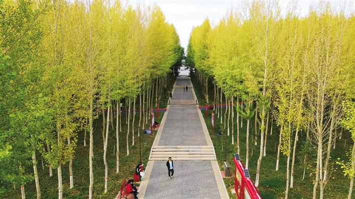 米博体育平台app