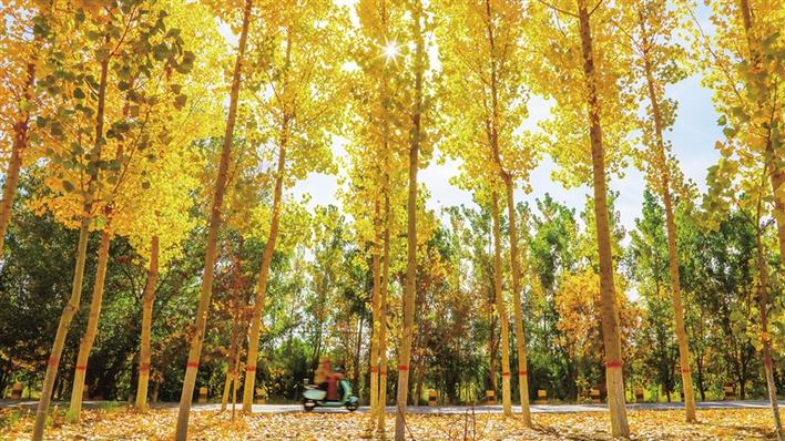 米博体育平台app