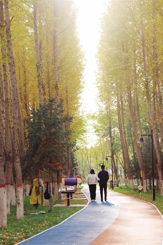 米博体育平台app