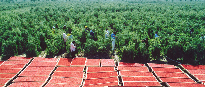 米博体育平台app