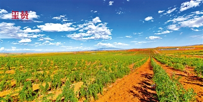 米博体育平台app