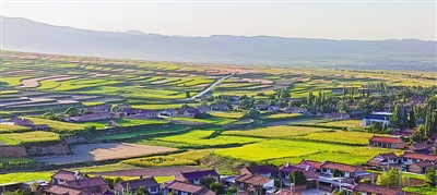 米博体育平台app