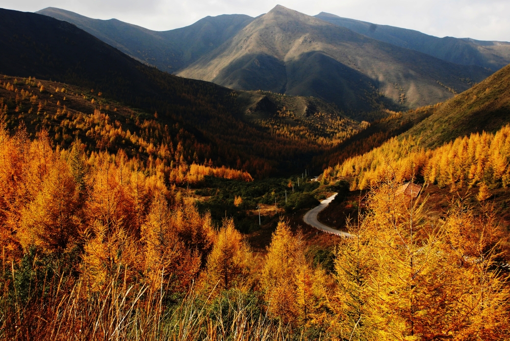 米博体育平台app