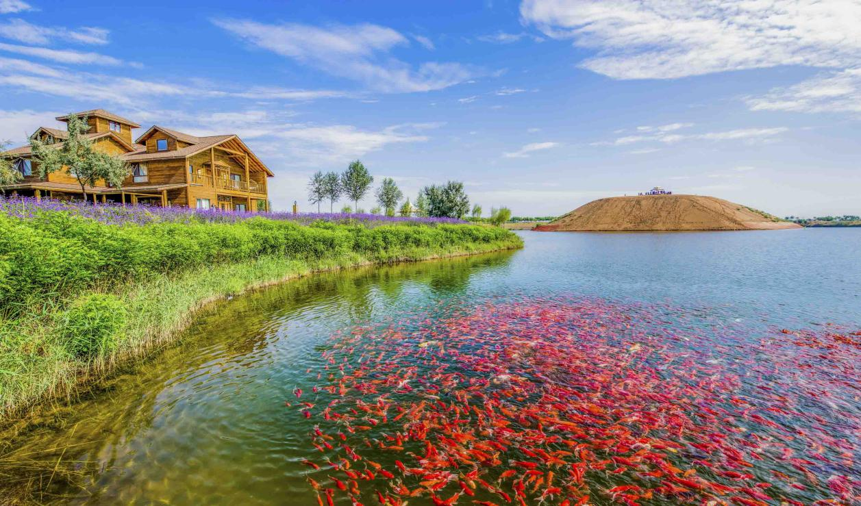 米博体育平台app