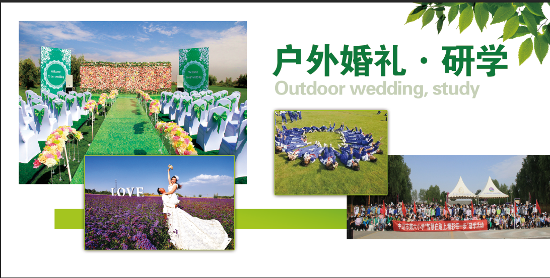 米博体育平台app