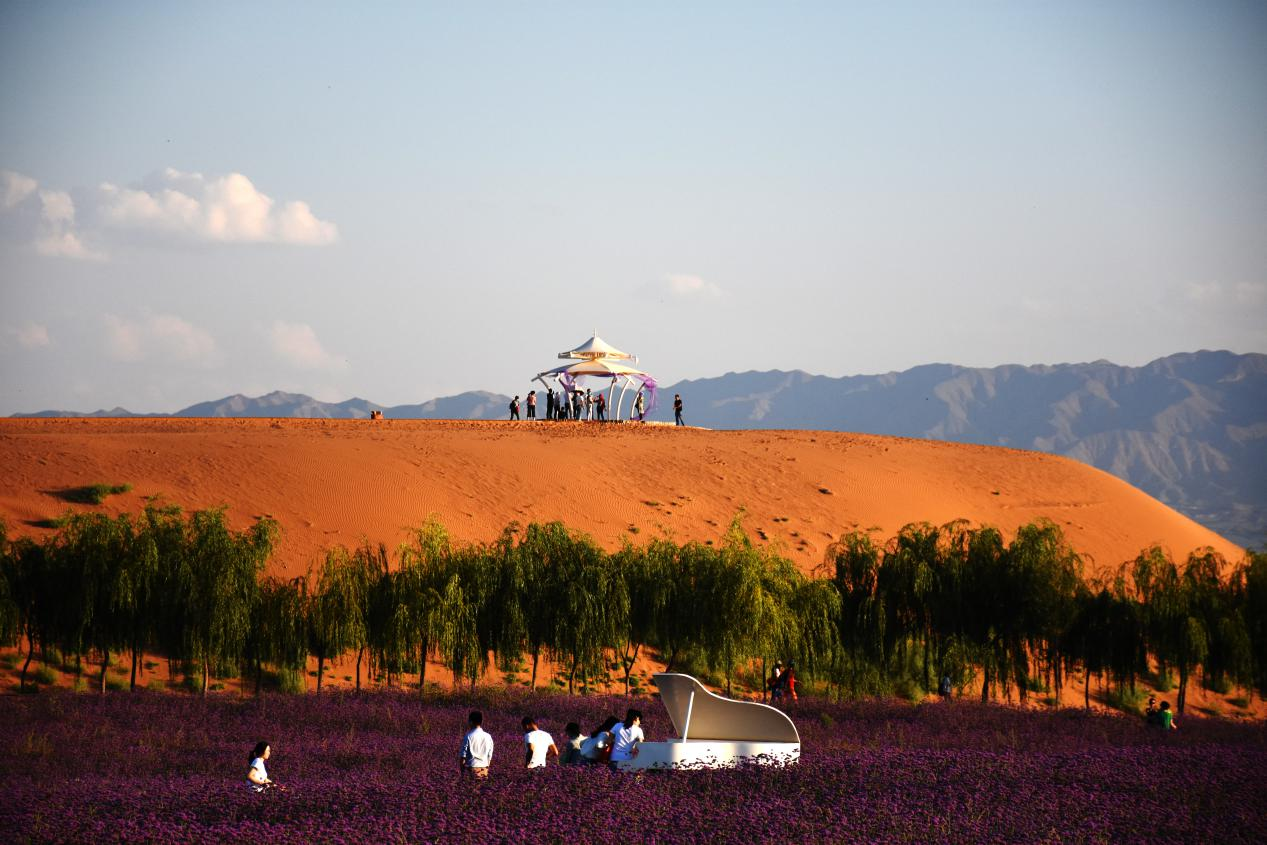 米博体育平台app