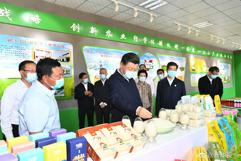 米博体育平台app