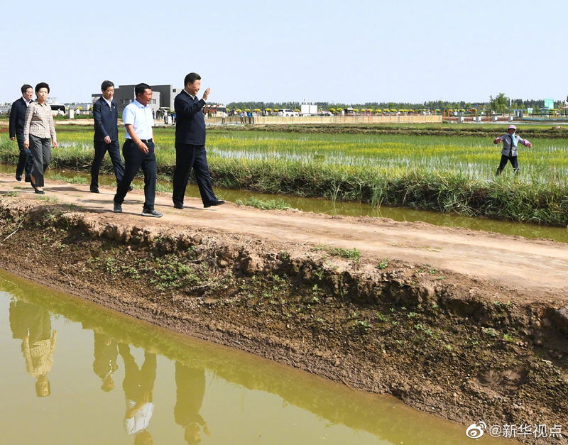 米博体育平台app