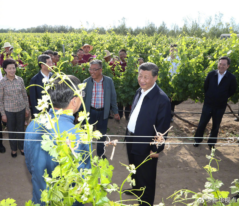 米博体育平台app