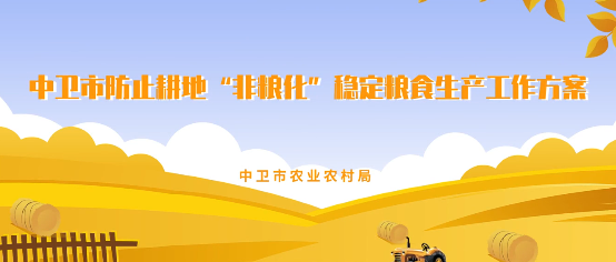 视频解读：《中卫市防止耕地“非粮化”稳定粮食生产工作方案》