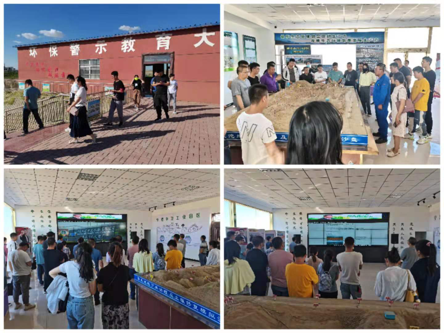 11.png 米博体育平台app