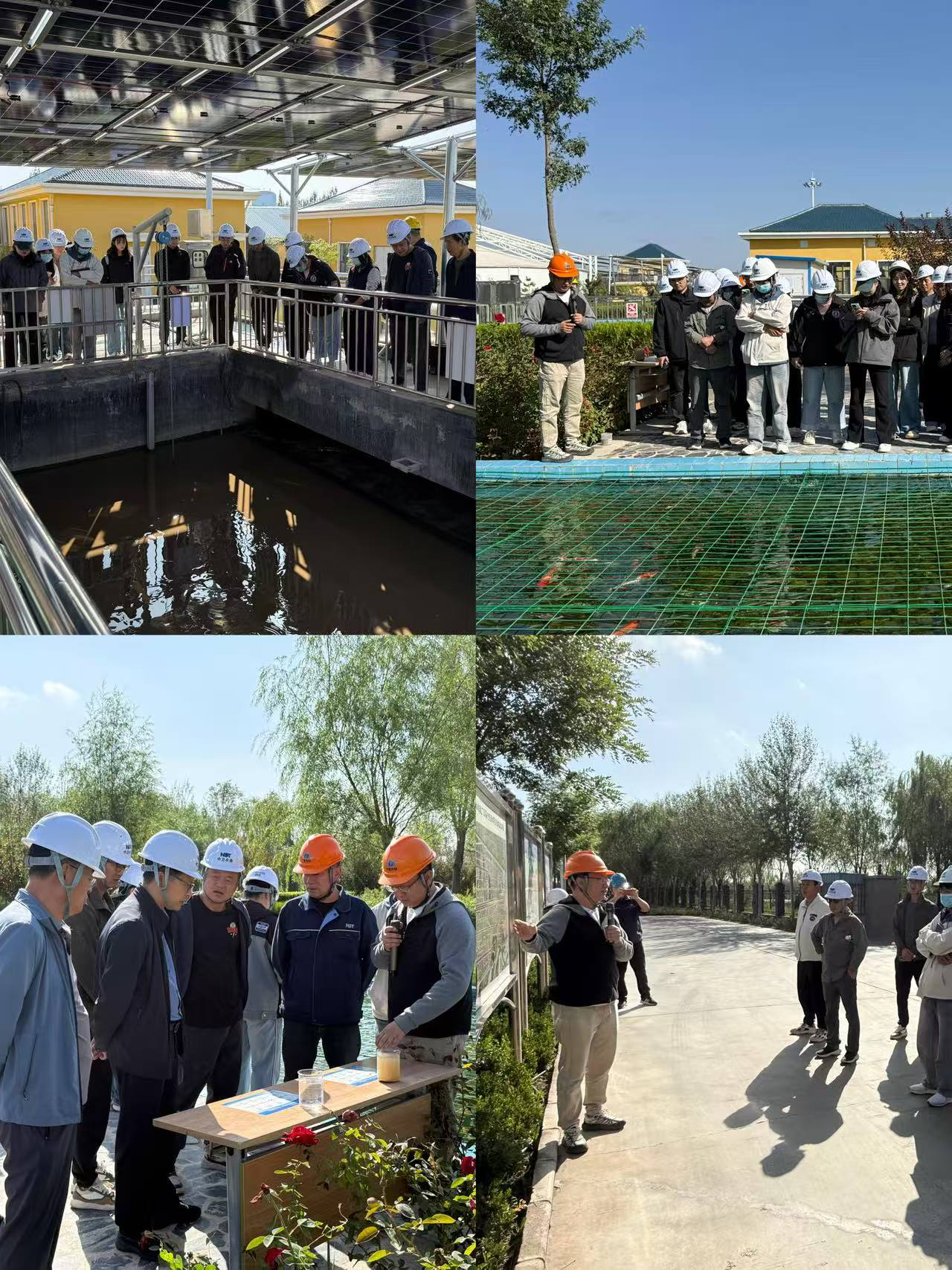 图片2.png 米博体育平台app