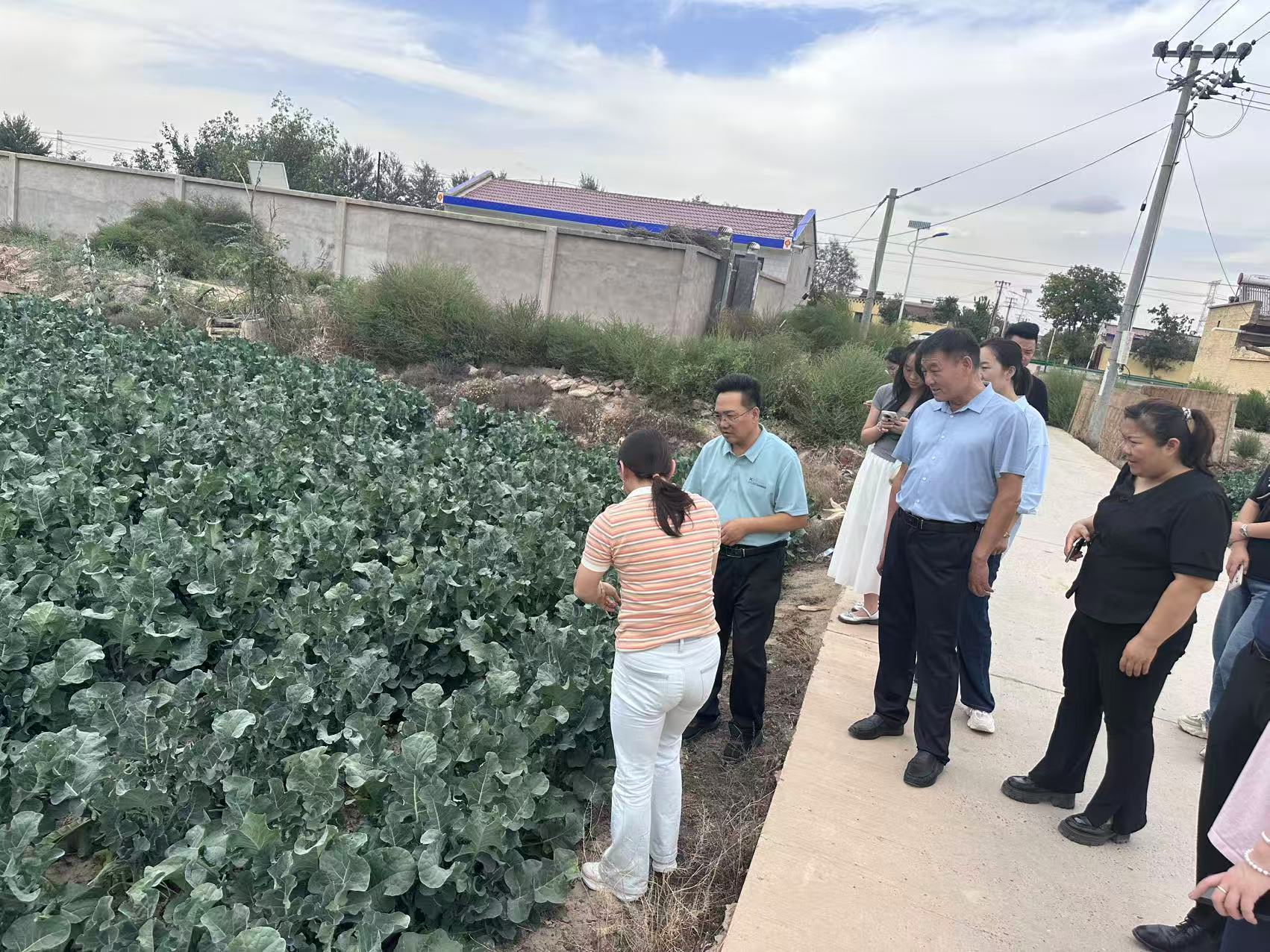 米博体育平台app