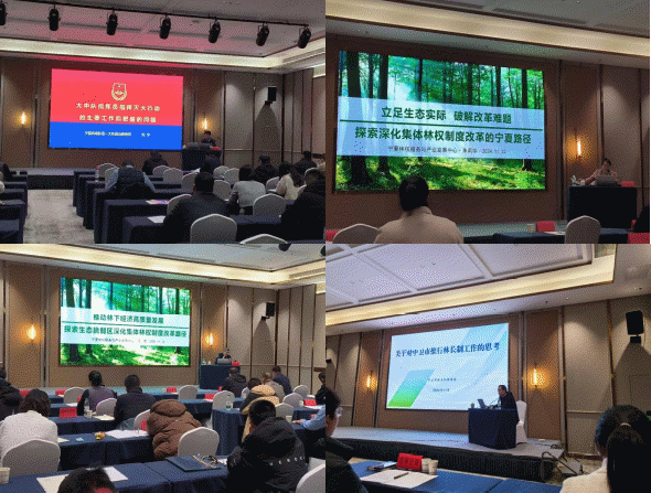 米博体育平台app